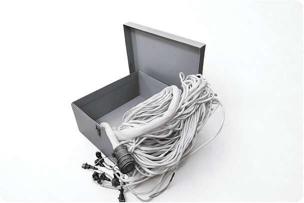 Picture of the author