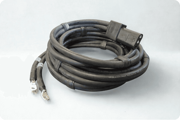 Picture of the author