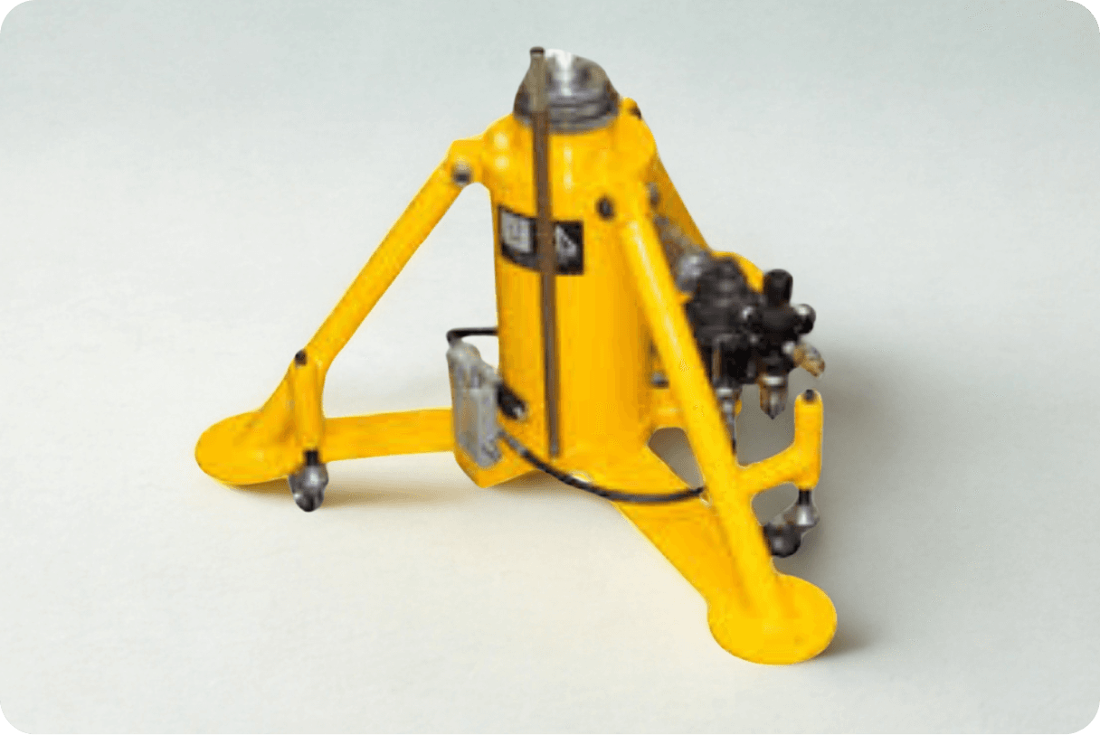 Picture of the author