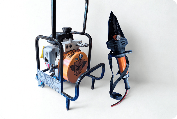 Picture of the author