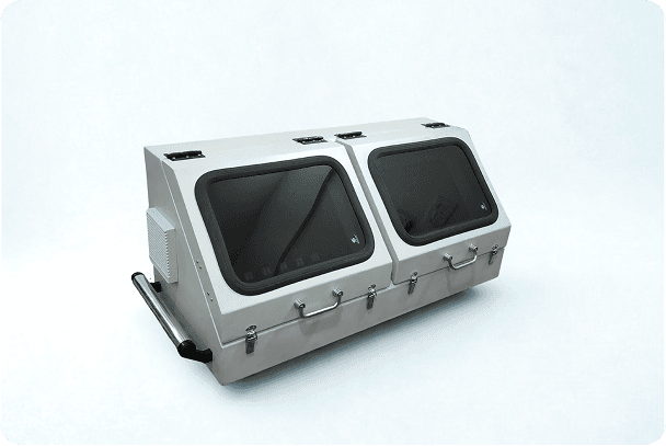 Picture of the author