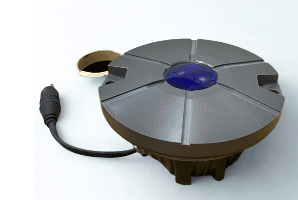 Picture of the author